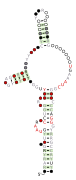 DUF3800-III Secondary structure taken from the Rfam database. Family RF02962