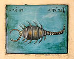 Signe du scorpion, Jantar Mantar, Jaipur, Inde