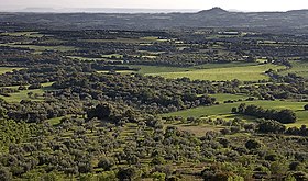 Somontano de Barbastro