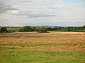 A distant view of the enigmatic Mound Wood on Kennox Moss in 2007.