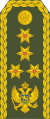 General pukovnik (Montenegrin Ground Army)[12]