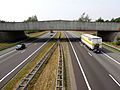 L'autoroute A1 passant à travers la réserve naturelle de Borkeld.