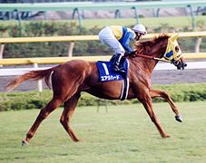 Photo d'un cheval alezan et son jockey au galop sur une piste.