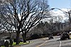 West Roxbury Parkway, Metropolitan Park System of Greater Boston