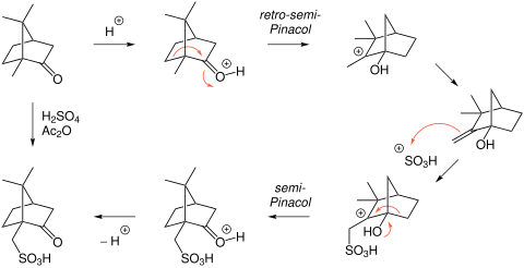 Reaktionsmechanismus der Sulfonierung von Campher zu Camphersulfonsäure.