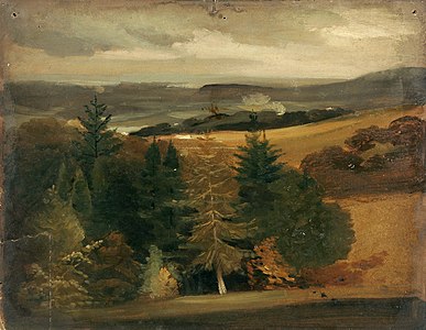 Wooded landscape (undated), Norfolk Museums Collections