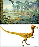 Restitution du Compsognathus longipes du Lagerstätte de Canjuers.