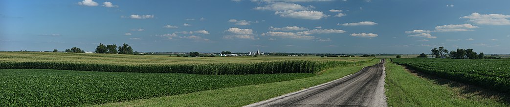 حقول الذرة قرب رويال بولاية إلينوي