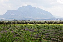 Vue générale du Djebel Ressas