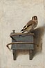 The Goldfinch (1654) by Carel Fabritius