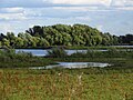 Habitat,Fen Drayton, England