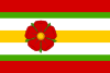 Flag of Nechanice