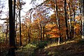 Keltenweg vom Großen Gleichberg