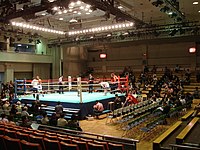 Vue sur un ring de boxe dans une salle à moitié vide.