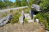 Dolmen du Commun