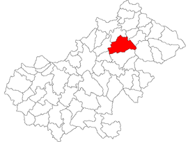 Location in Satu Mare County