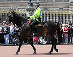 Brittisk ridande polis från Metropolitanpolisen utanför Buckingham Palace