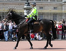 Mounted officer of the Metropolitan Police at Buckingham Palace with the Sillitoe tartan rimming the helmet, London