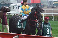 Race horse with uniformed rider and team member behind horse