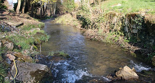 La rivière la Crise qui traverse le village.