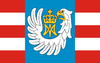 Flag of Gmina Nowe Piekuty