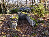 Dolmen de Pech Ventoux