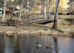 Torsviksparken med kvarteret Torsviggen i bakgrunden.