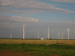 Landowners in the US typically receive $3,000 to $5,000 per year in rental income from each wind turbine, while farmers continue to grow crops or graze cattle up to the foot of the turbines.[249]