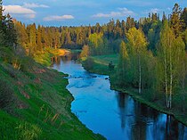 Река Оредеж в Старосиверской