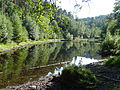 Ungeheuersee im Krumbachtal (Pfalz)