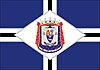 Flag of São João Nepomuceno
