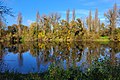 Bassin du Petit-Paris, vallée de l’Orge (Essonne).