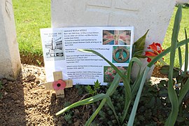 Tombe du soldat sud-africain Léonard Walter Kiddle.