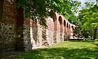 Medieval town walls