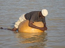 A man catching fish