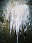 Stalactites dans la grotte de Gardner's Gut, Waikato, Nouvelle-Zélande.