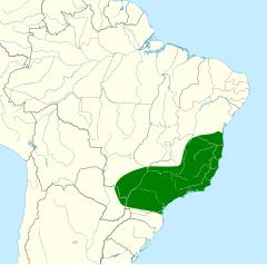 Distribuição do caburé-miudinho