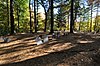 Old Settlers' Burying Ground