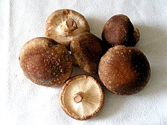 Shiitake.