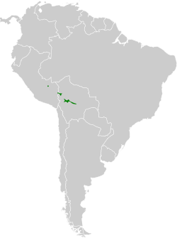 Distribución geográfica del guardabosques alicurvo.