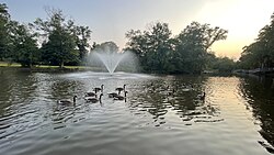 Victor Crowell Park, featuring the duck pond