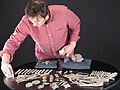 Martin Goldberg, senior curator at National Museums Scotland, examining the hoard