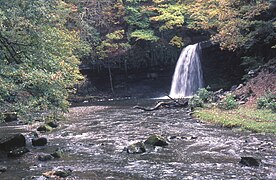 Sgwd Gwladus waterfall on the Afon Pyrddin, a tributary of the Neath