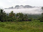 There is a field with tall grass and trees and a small wooden hut in the front, and steep cliffs in the back.