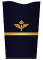 Mess jacket sleeve insignia for a second lieutenant (?–present)