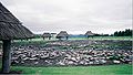 Site d'Oyu à cercle de pierres. Structures hypothétiques surélevées à toit de chaume. Préfecture d'Akita. J. Récent, v. 2500-1500[59].