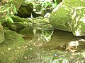 Vista de un pequeño pozo del río San Lázaro en la zona de la Paleira.