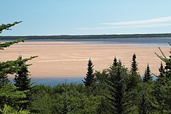 Река в нижнем течении