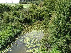 La rivière Salleron en 2011.