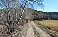 Camino en la ribera derecha del Turia, paraje de Torrebaja (Valencia) donde el río Ebrón rinde sus aguas al Turia (2021).